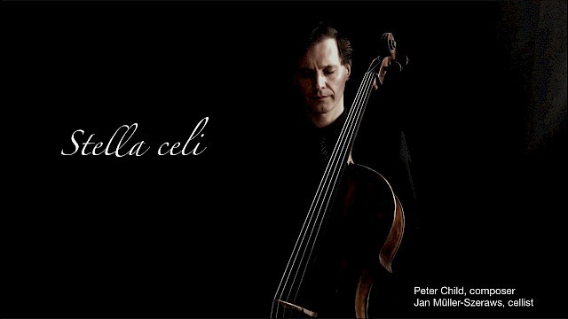 Peter Child: Stella celi image